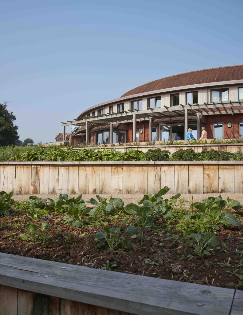 View of the garden looking up to the refurbished daycare unit and terraces